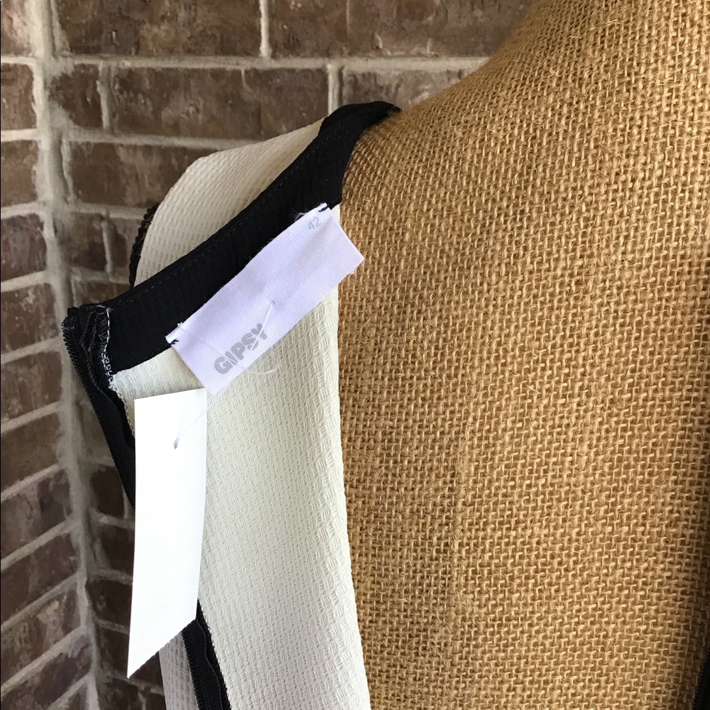GIPSY Color Block Shift Dress - Picture 5 of 5